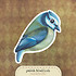 Ptáček Modřínek - nažehlovačka